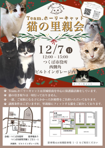 猫の里親会　in つくば市役所