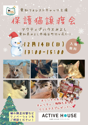 保護猫譲渡会　愛知県みよし市