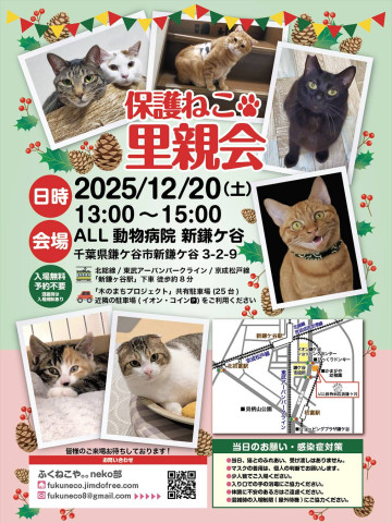 保護ねこ里親会 @ 新鎌ヶ谷