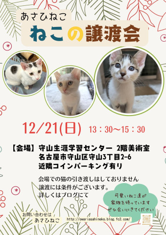 ねこの譲渡会 in守山生涯学習センター