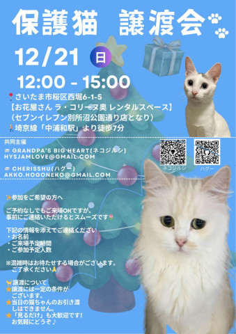 保護猫の譲渡会inさいたま市