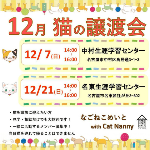 【名古屋市】譲渡会　