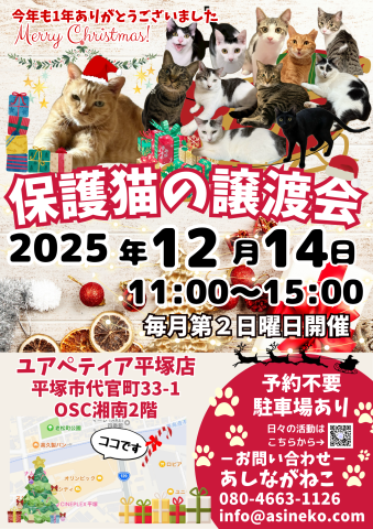 あしながねこ　保護猫の譲渡会