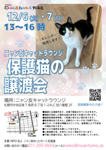 【札幌】ニャン友キャットラウンジ譲渡会〈12/6-7〉