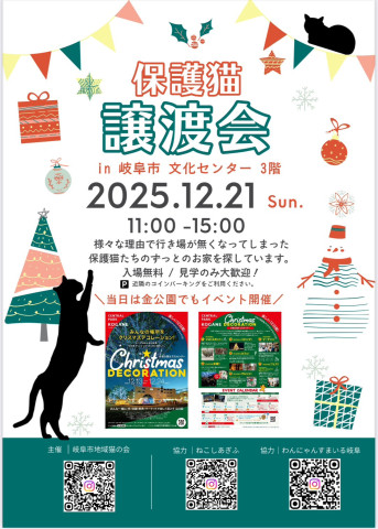 岐阜市保護猫  譲渡会