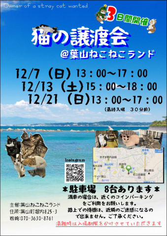 葉山ねこねこランド