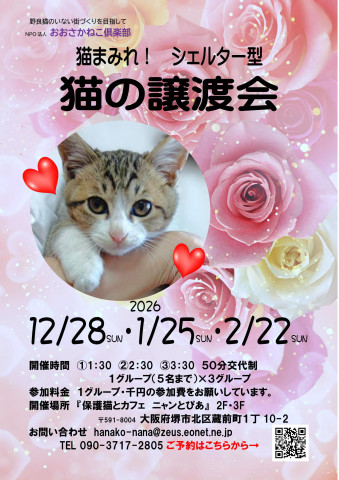 オープンシエルター型 譲渡会 - 猫の譲渡会掲示板