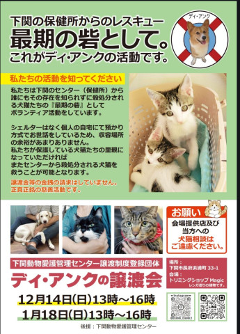 ディ・アンクの譲渡会