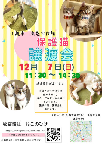 秘密結社ねこのひげ♡保護猫譲渡会