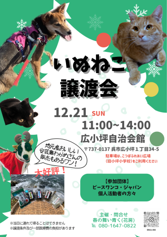 いぬねこ譲渡会