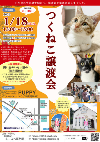 つくねこ譲渡会