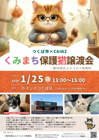 くみまち保護猫譲渡会