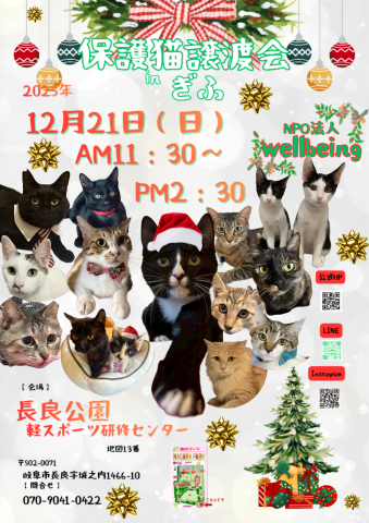 保護猫譲渡会inぎふ