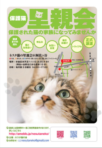 ネスタ猫の里親会@阿佐ヶ谷