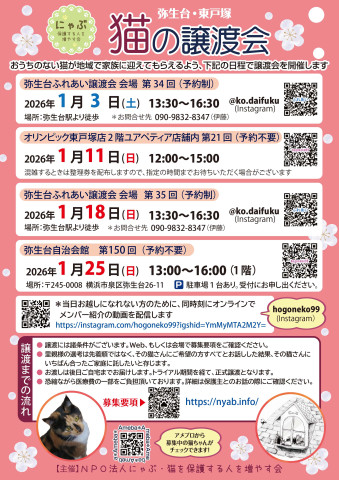 弥生台・東戸塚　猫の譲渡会