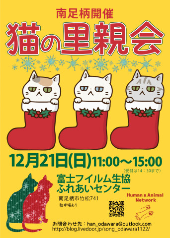 保護猫の里親会＠南足柄