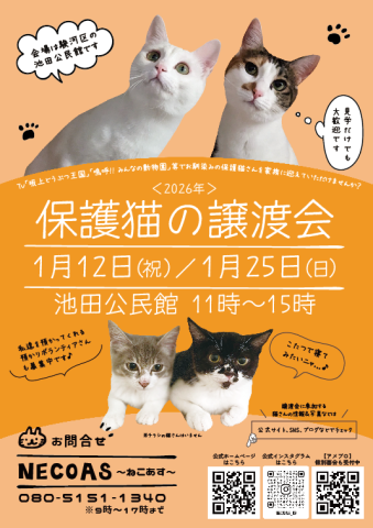 2026年1月も2回開催！　NECOAS　譲渡会　静岡市駿河区