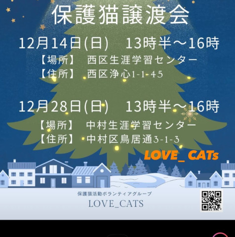 Love _Cats譲渡会