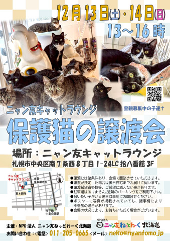 【札幌】ニャン友キャットラウンジ譲渡会〈12/13-14〉