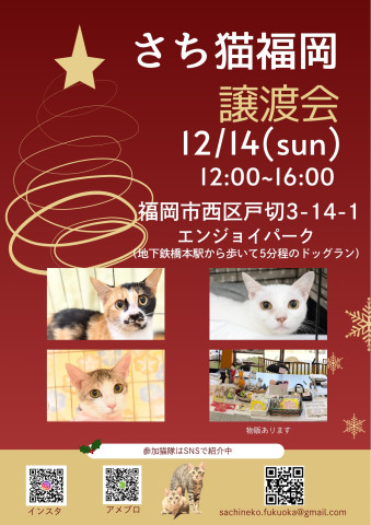 さち猫福岡譲渡会　エンジョイパーク（はっぴいすまいる）