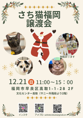 さち猫福岡譲渡会　文化センター高取