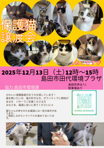 島田ねこむすび譲渡会