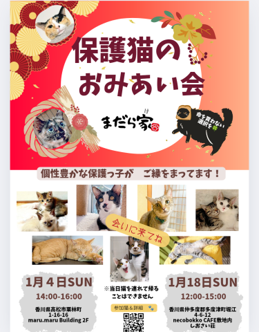 まだら家🍀保護猫のお見合い会