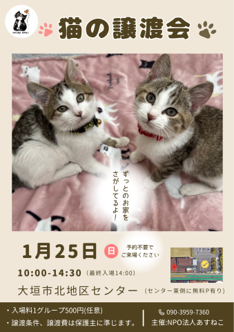 猫の譲渡会を開催します
