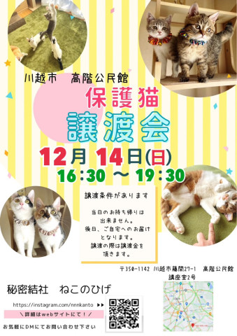 秘密結社ねこのひげ♡保護猫譲渡会