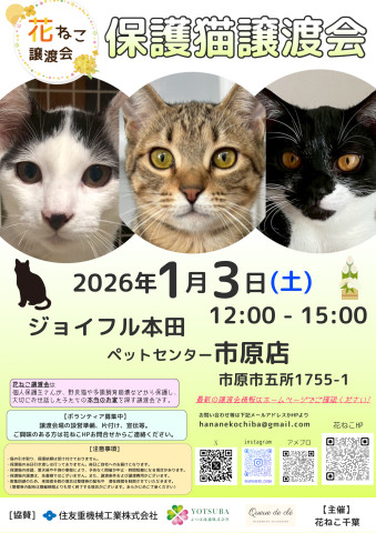 花ねこ譲渡会
