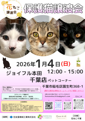 花ねこ譲渡会