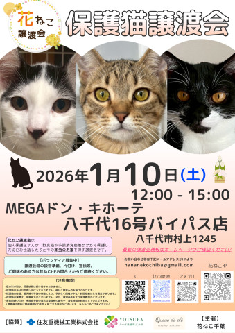 花ねこ譲渡会