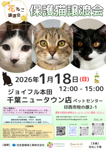 花ねこ譲渡会