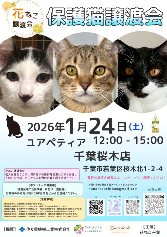 花ねこ譲渡会