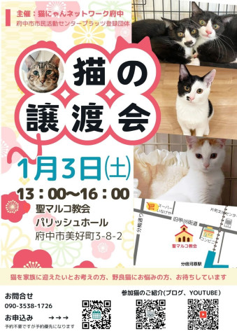猫にゃんネットワーク府中{保護猫の譲渡会} 