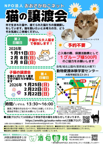 NPO法人おおさかねこネット 猫の譲渡会