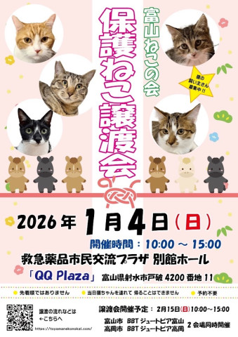 富山ねこの会　保護ねこ譲渡会