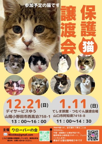 クローバーの会保護猫譲渡会
