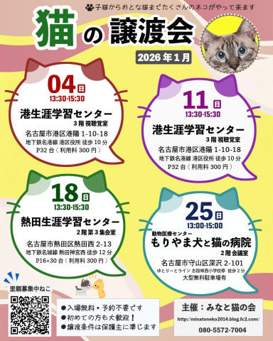 ネコの譲渡会 名古屋市守山区