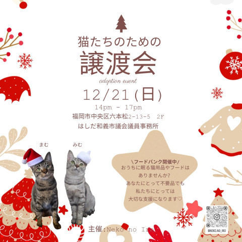 猫たちのための