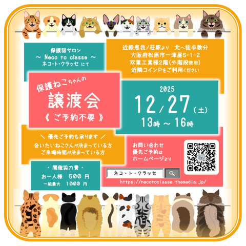 ネコトクラッセ譲渡会