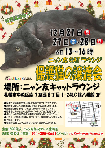 【札幌】ニャン友キャットラウンジ譲渡会〈12/20・27・28〉