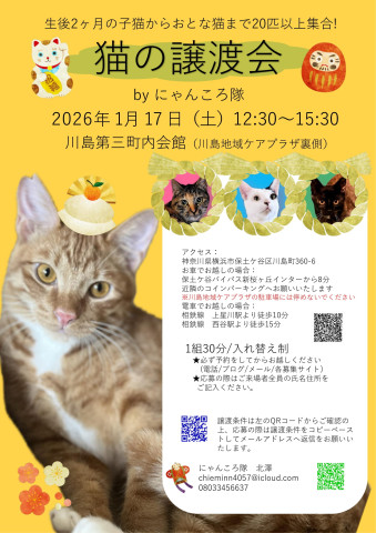 猫の譲渡会　by にゃんころ隊 1/17