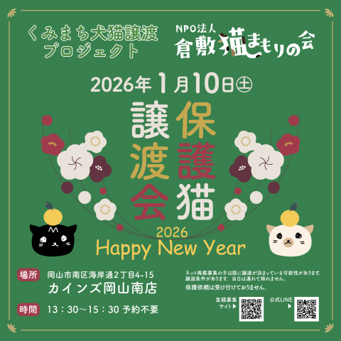 保護猫譲渡会（予約不要）