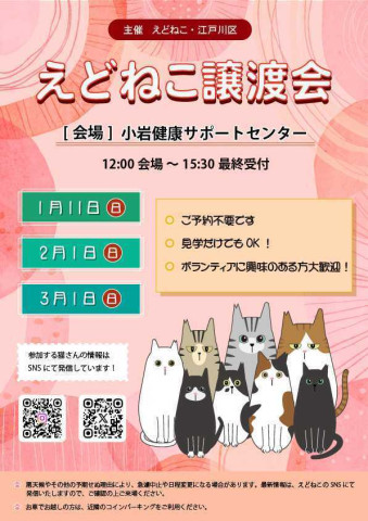 えどねこ譲渡会　in江戸川区