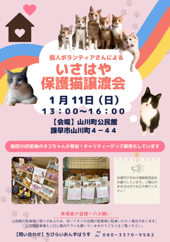 個人ボランティアさんによるいさはや保護猫譲渡会