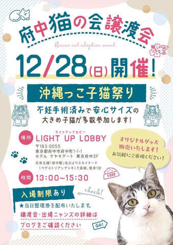 府中猫の会譲渡会