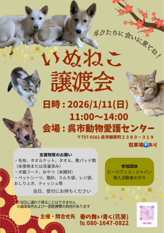 いぬねこ譲渡会