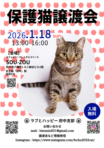 ラブとハッピー府中【保護猫譲渡会】