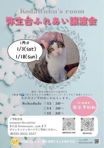 にゃぶ にゃぶ 弥生台ふれあい譲渡会 - 猫の譲渡会掲示板